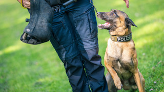 Polizeitag in Rüsselsheim: Blick hinter die Kulissen am 7. September