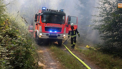 Kleiner Waldbrand bei Neuhof