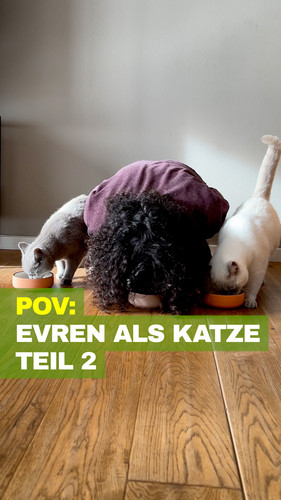 Evren Katze 2
