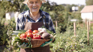 Garten mieten in Hessen: Gemüse anbauen ohne eigenen Garten