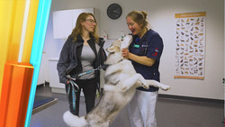 Zwischen Karriere und Alltag: Docs of Europe (Folge 3)