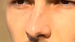 Illegaler Welpenhandel