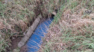 Abwasser-Verunreinigung in Schornsheim gibt Rätsel auf