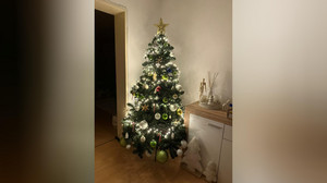 Der früheste Weihnachtsbaum der Welt steht in Schöneck