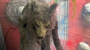 Kostenlos gruseln: Halloween-Haus in Mörfelden-Waldorf