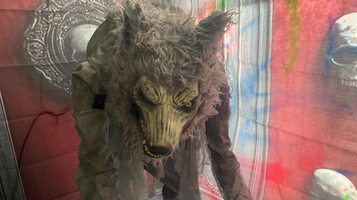 Kostenlos gruseln: Halloween-Haus in Mörfelden-Waldorf