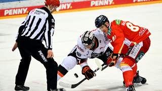 Eishockey: Löwen Frankfurt auch über Weihnachten mit engem Spielplan