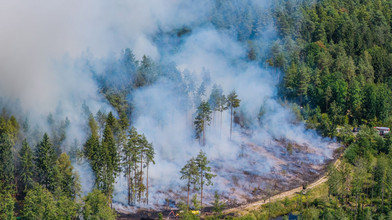 Feuerwehr und Landwirte löschen Waldbrand