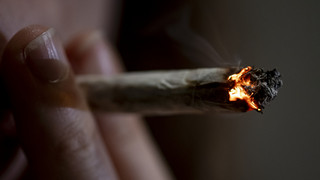 Bundesrat macht Weg für Cannabis-Legalisierung frei