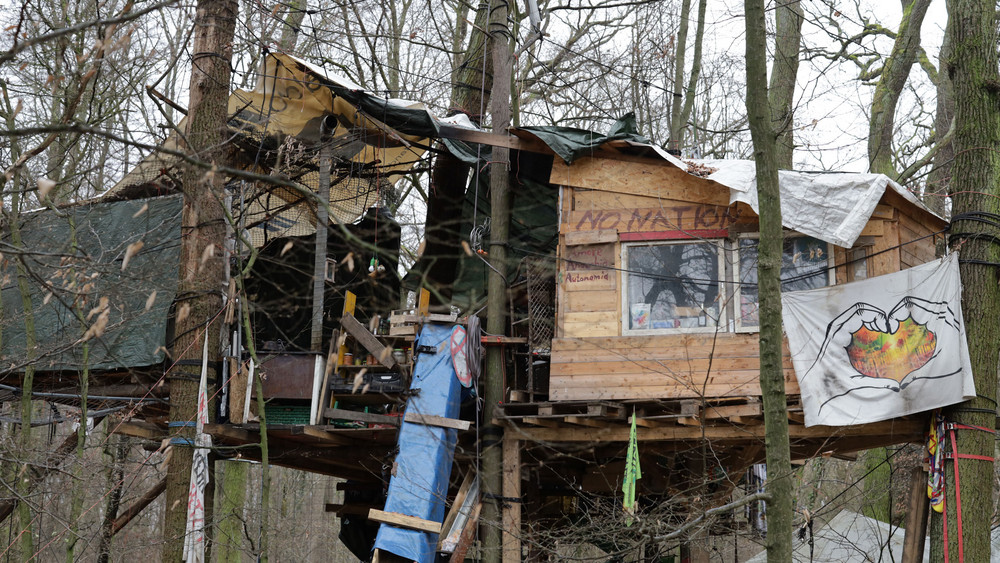 Ein von Aktivisten gebautes Baumhaus im Fechenheimer Wald