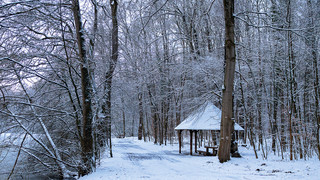 Leiche identifiziert: Toter Mann im Frankfurter Stadtwald