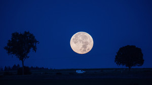 Schlecht schlafen bei Vollmond: So beeinflusst er unser Leben