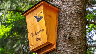 Kreuz & Quer am 20. August - Batnight und 111 Himmlische Orte