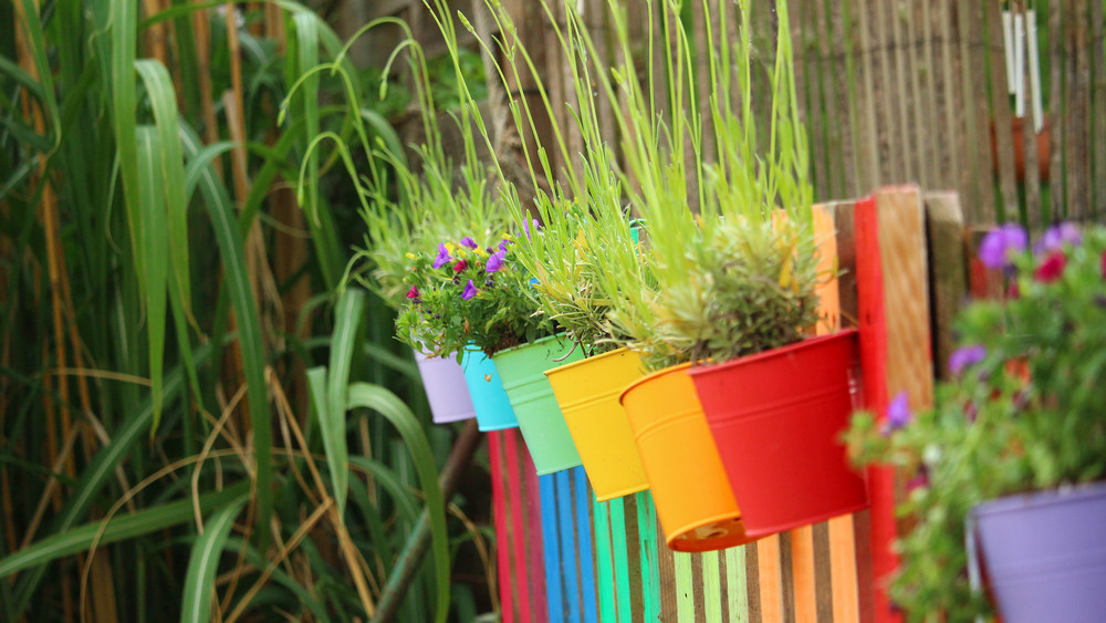 Zeig uns dein buntes Hessen!