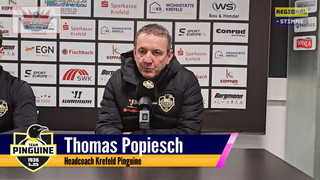 Krefeld Pinguine festigen ihre Spitzenposition - 4:1 Sieg gegen Regensburg