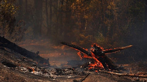 Waldbrand in Südwestfrankreich: Tausende Menschen evakuiert