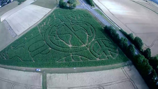 Maislabyrinth bei Hünfelden zeigt Peace-Zeichen