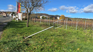 Oestrich-Winkel: Wer hat sämtliche Ortsschilder geklaut?