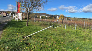 Oestrich-Winkel: Wer hat sämtliche Ortsschilder geklaut?