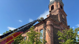 Feuerwehr Alzenau befreit zwei junge Turmfalken aus Schneegitter