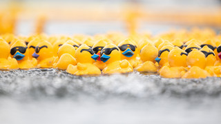 Volles Programm in Melsungen: Open-Air-Kino und Hafenfest