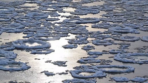 Schön und gefährlich: Eisschollen auf der Oder