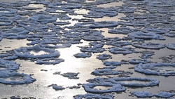 Schön und gefährlich: Eisschollen auf der Oder