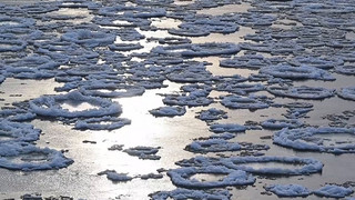 Schön und gefährlich: Eisschollen auf der Oder