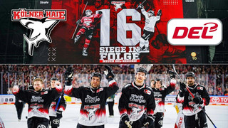 16. Sieg in Serie: Kölner Haie knacken DEL-Rekord