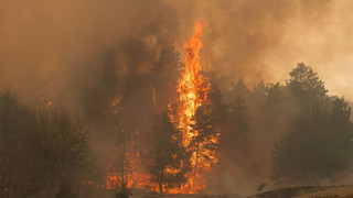 Serbien kämpft seit Wochen gegen verheerende Waldbrände - Kann die EU helfen?