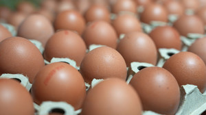 Eierpreise steigen rasant durch Vogelgrippe und Kosten