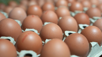 Eierpreise steigen rasant durch Vogelgrippe und Kosten