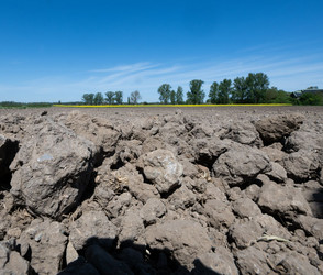 Trockenheit setzt Böden teils zu – Waldbrandgefahr steigt