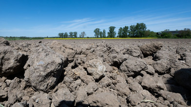 Trockenheit setzt Böden teils zu – Waldbrandgefahr steigt