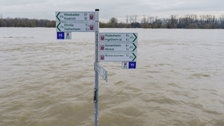 Mann in Bingen aus Rhein gerettet - trotz Hochwasser Schwimmer
