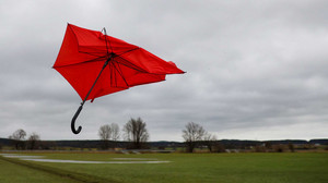 Das Weihnachtswetter für Hessen - Grün, nass und stürmisch