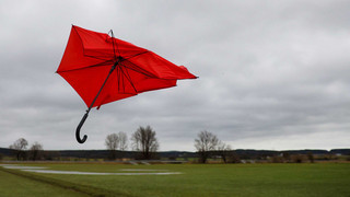 Das Weihnachtswetter für Hessen - Grün, nass und stürmisch