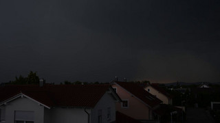 Tödliche Tradition: Silvester-Böllerei lässt Tiere leiden