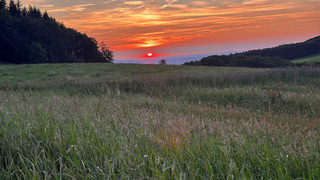 "Wortkunst am Weiherberg": Poesie Festival in der Rhön