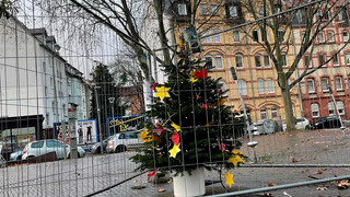 Der wohl einsamste Weihnachtsbaum der Welt