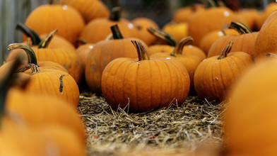 Herbst in Hessen: Diese Feste locken jetzt