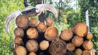 Laster mit Holzstämmen kippt bei Bad Schwalbach um