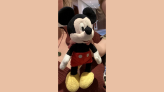 Helft mit! Mickey Mouse in Fulda schmerzlich vermisst
