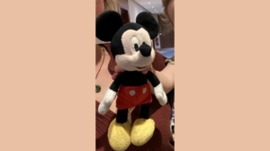 Helft mit! Mickey Mouse in Fulda schmerzlich vermisst