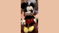 Helft mit! Mickey Mouse in Fulda schmerzlich vermisst