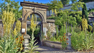 Kassel gemeinsam bunter machen - Samentüten wieder an den Leinen