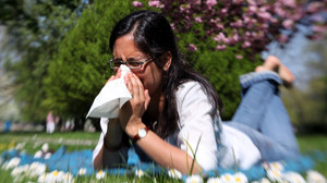 Pollenflug: Darum haben wir immer mehr Heuschnupfen