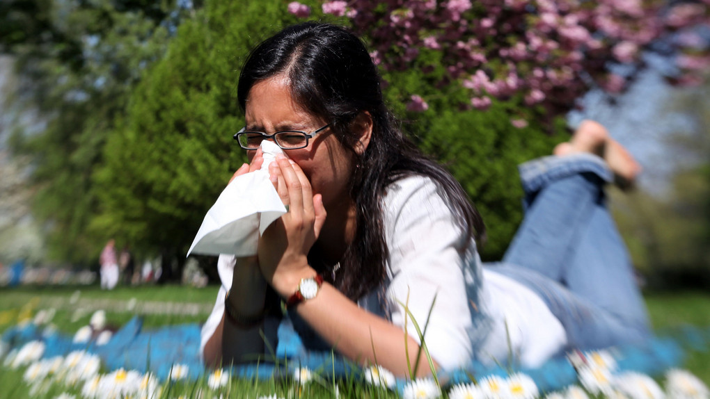 Pollenflug: Darum haben wir immer mehr Heuschnupfen