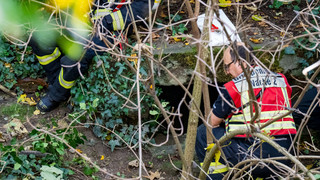 Leiche in Tunnelsystem in Mainz gefunden: Zufallsfund bei Grünarbeiten