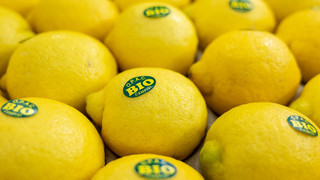 Bio-Lebensmittel Boom in Deutschland erreicht neue Höhen